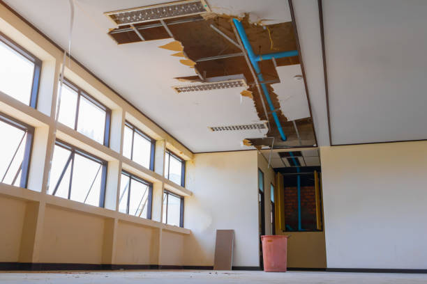 Best Professional water damage repair  in Jenks, OK