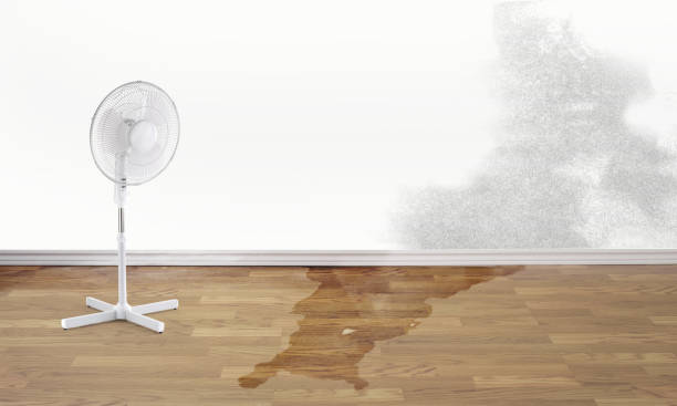 Best Water damage restoration near me  in Jenks, OK