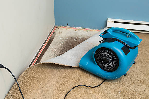 Best Local water damage restoration  in Jenks, OK